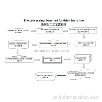 Línia de processament de fruites seces/Línia de fixació de panses